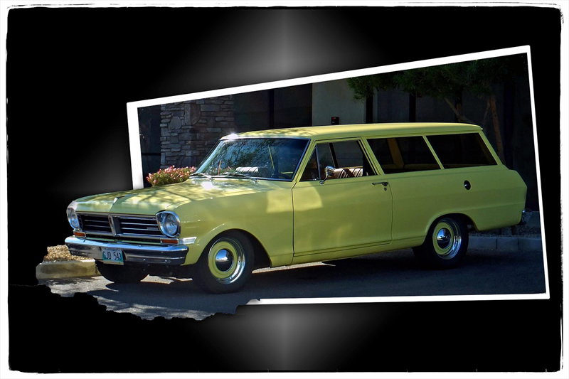 Acadian by Trudy Curtis